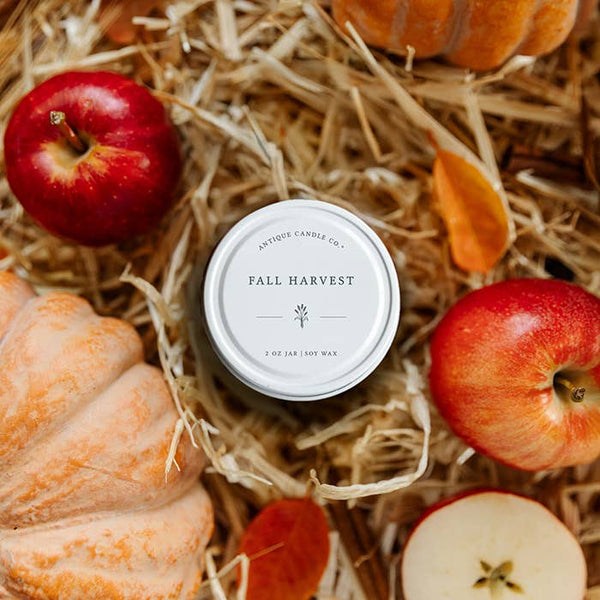 Fall Harvest - Soy Candle