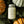 Pumpkin & Pine - Soy Candle
