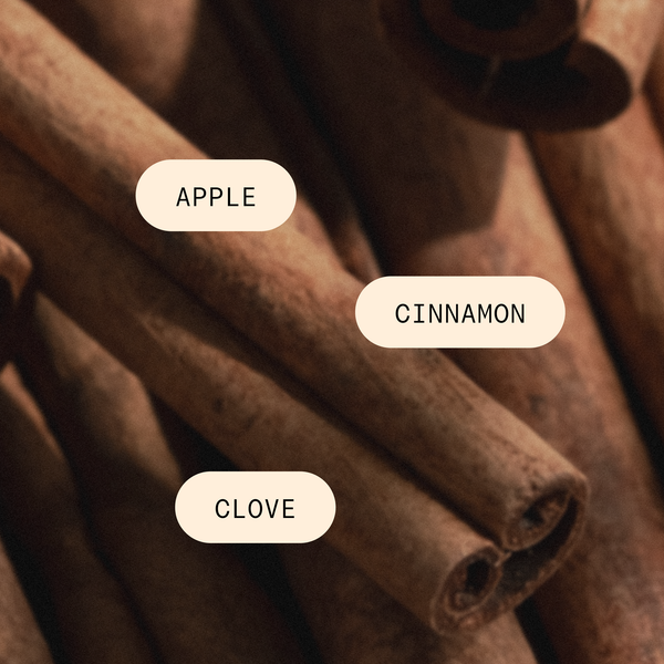 Cinnamon Cider - Pura Home Diffuser Refill