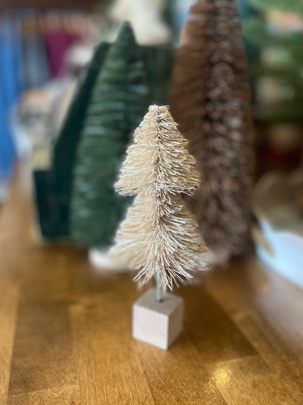 Small White Bottle Brush Tree